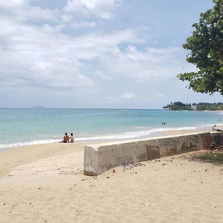 Wave View Village - Beach Front - Luxury Spot Rincón Eksteriør bilde