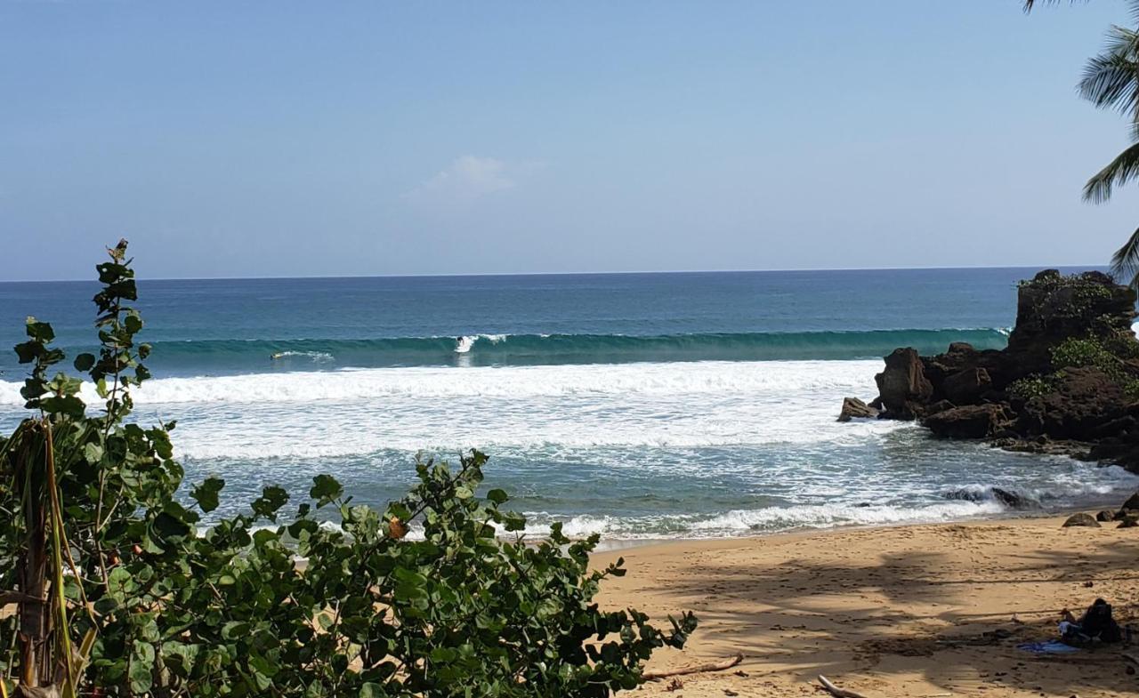 Wave View Village - Beach Front - Luxury Spot Rincón Eksteriør bilde