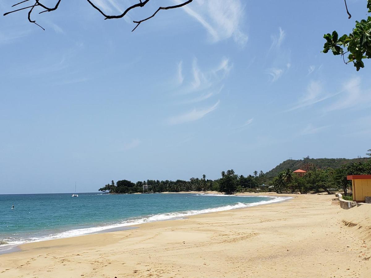 Wave View Village - Beach Front - Luxury Spot Rincón Eksteriør bilde