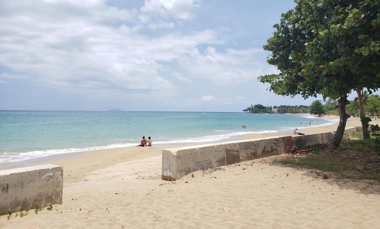 Wave View Village - Beach Front - Luxury Spot Rincón Eksteriør bilde